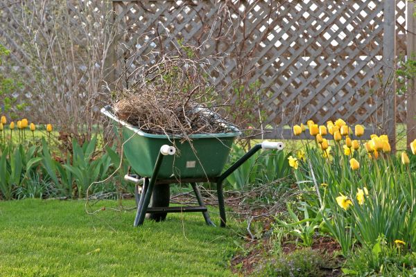 Flower Bed Cleanup Service in San Luis Obispo