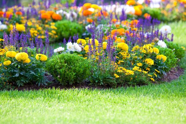 Flower Bed Maintenance in San Luis Obispo