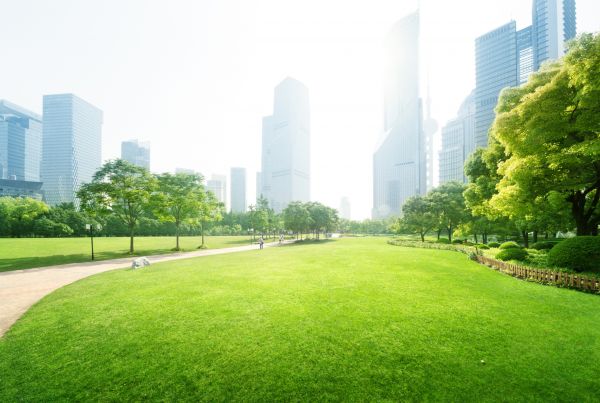 Commercial Landscape Maintenance in San Luis Obispo