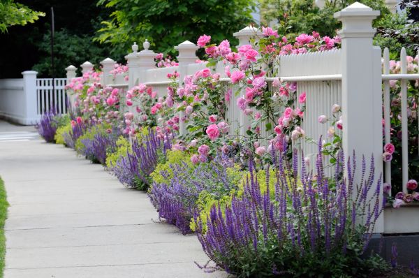 Garden Handyman Service in San Luis Obispo
