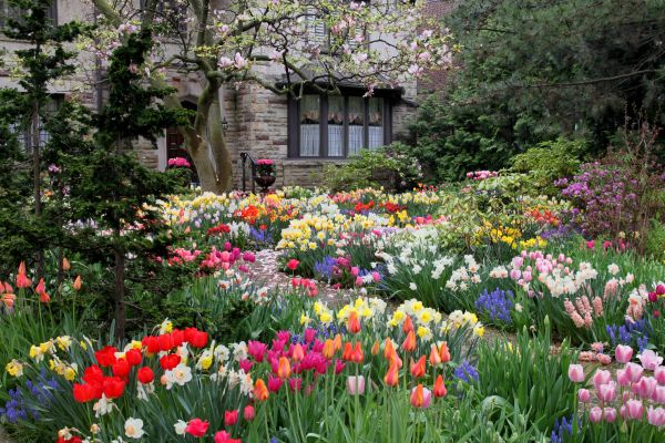 Garden Maintenance Service in San Luis Obispo