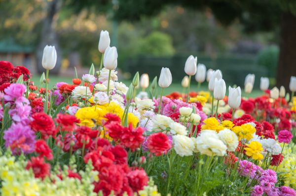 Gardening Service in San Luis Obispo