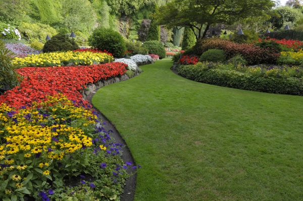 Landscaping Maintenance in San Luis Obispo