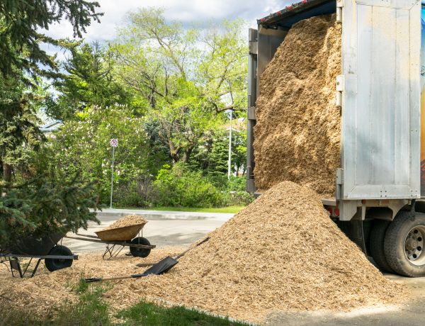 Wood Chips Delivery in San Luis Obispo