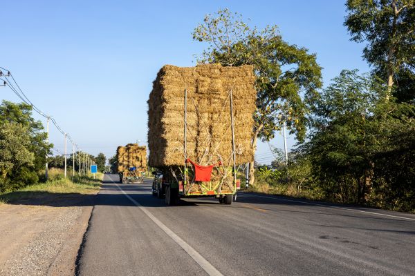Pine Straw Delivery in San Luis Obispo