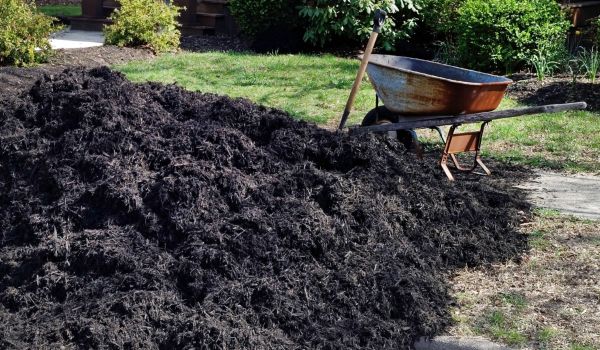 Black Mulch Delivery in San Luis Obispo