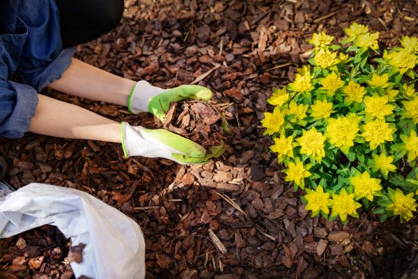 Garden Mulching in San Luis Obispo