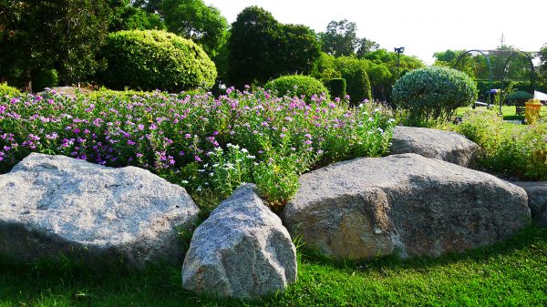 Boulder Landscaping in San Luis Obispo