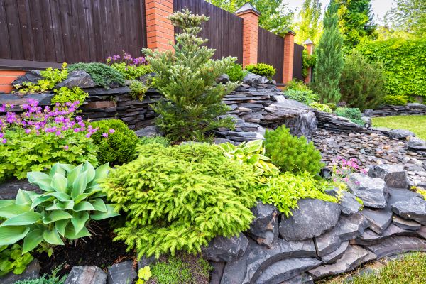 Landscape Remodeling in San Luis Obispo