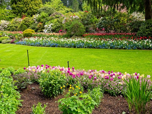 Residential Landscape Design in San Luis Obispo