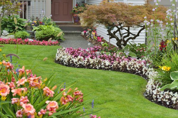 Perennial Landscaping in San Luis Obispo