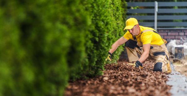 Cypress Mulch Installation in San Luis Obispo