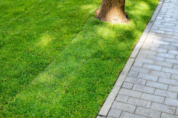 Border Stone Installation in San Luis Obispo