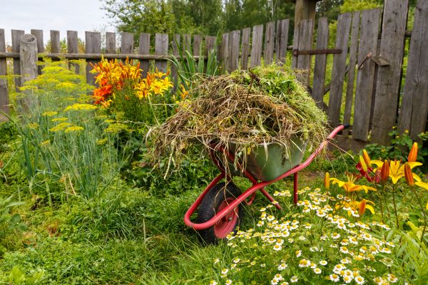 Garden Cleanup Service in San Luis Obispo