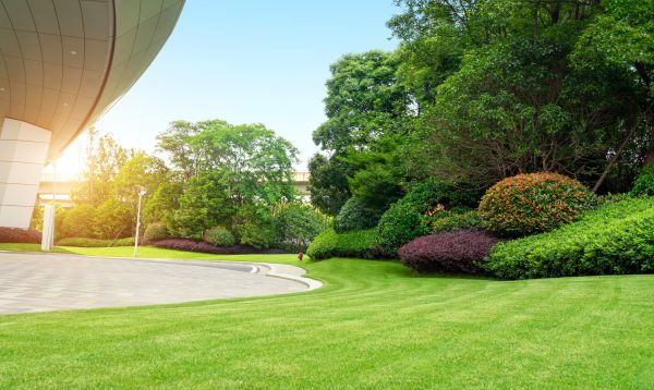 Business Landscape Design in San Luis Obispo