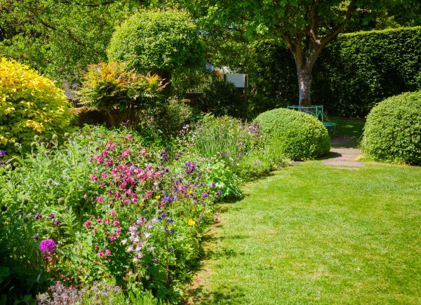 Yard Landscaping Service in San Luis Obispo