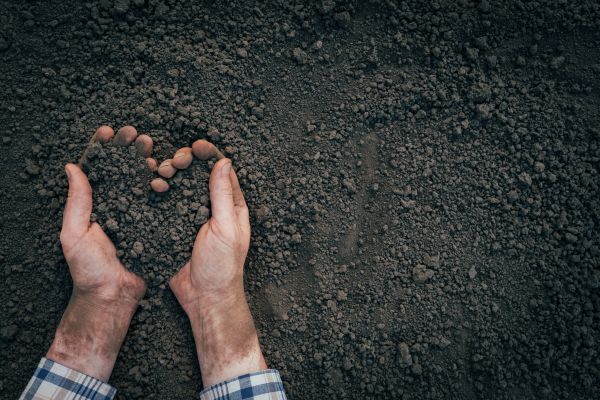 Soil Installation in San Luis Obispo
