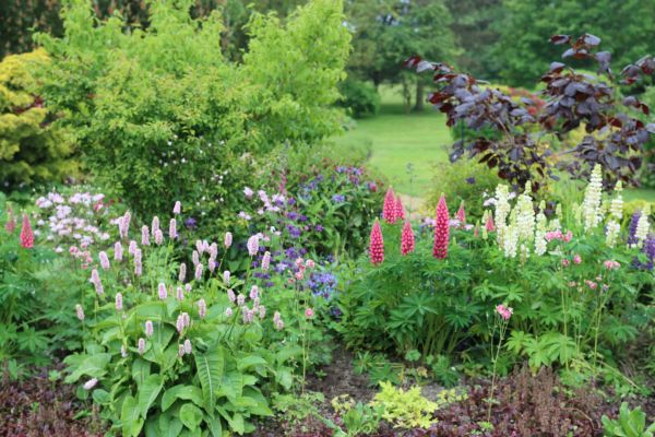 Flower Bed Planting in San Luis Obispo