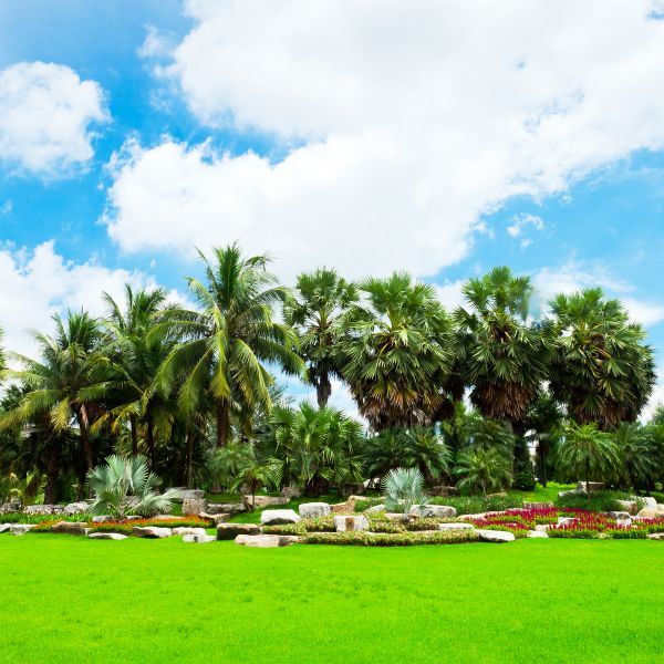 Tropical Landscaping in San Luis Obispo