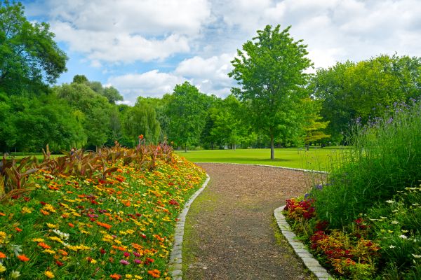 Park Landscaping in San Luis Obispo