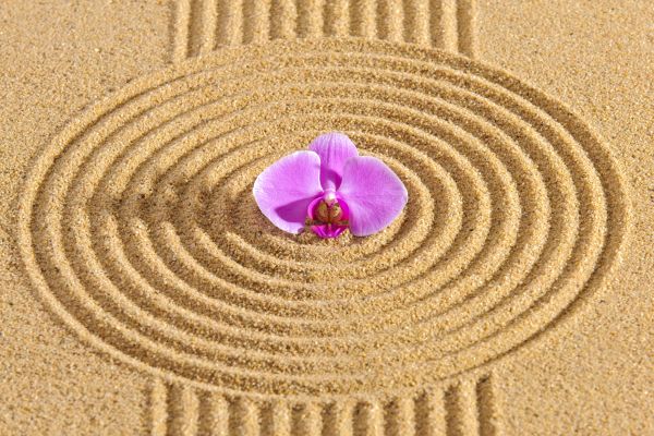 Sand Garden Landscaping in San Luis Obispo