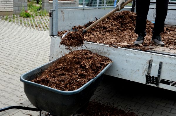 Cypress Mulch Delivery in San Luis Obispo