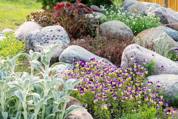 Rock Garden Installation in San Luis Obispo