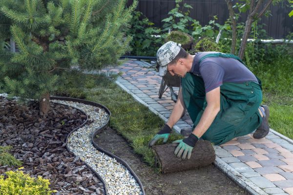 Landscaping Modification in San Luis Obispo