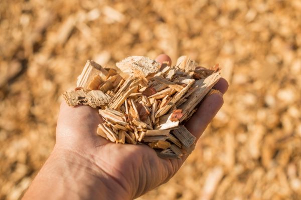 Wood Chips Spreading in San Luis Obispo