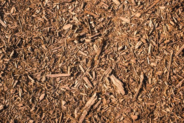 Wood Chips Removal in San Luis Obispo