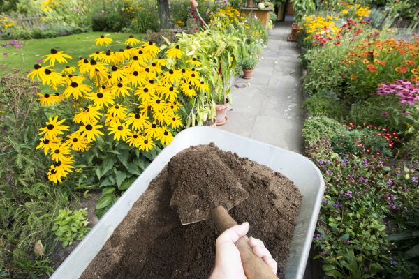 Topsoil Replacement in San Luis Obispo
