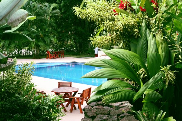 Pool Area Landscaping in San Luis Obispo
