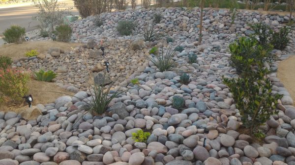 Yard Xeriscaping in San Luis Obispo