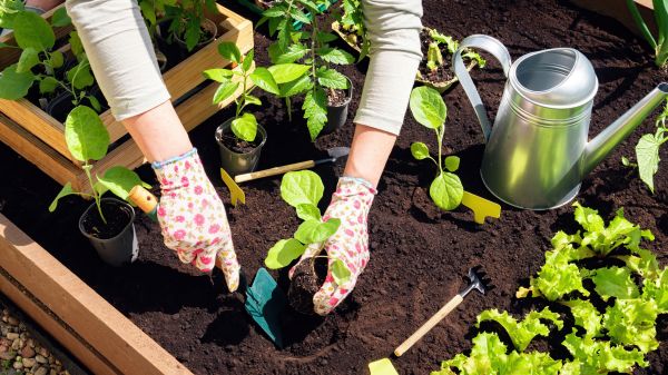 Garden Bed Installation in San Luis Obispo