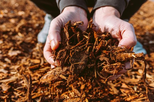Bark Chips Delivery in San Luis Obispo
