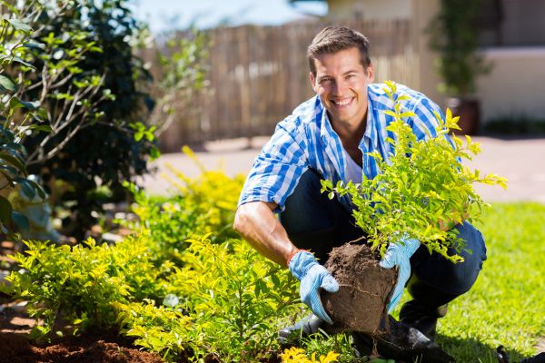 Shrub Landscaping in San Luis Obispo