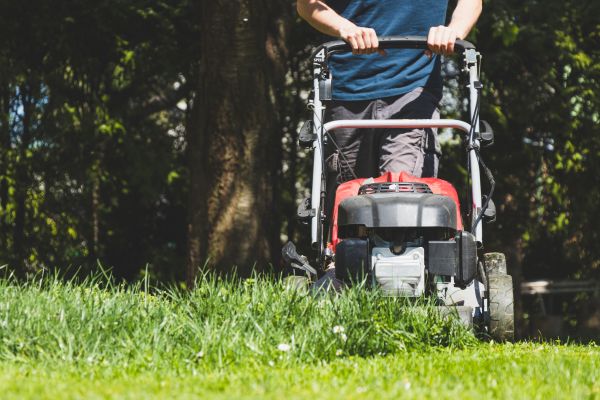 Garden Trimming Service in San Luis Obispo