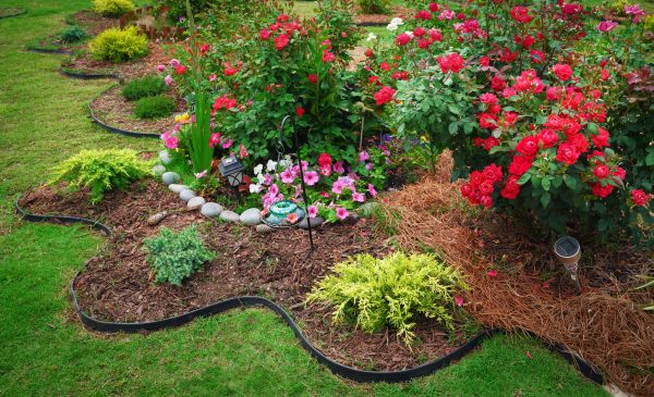 Floral Landscaping in San Luis Obispo