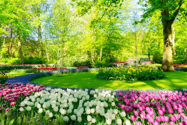 Flower Landscaping in San Luis Obispo