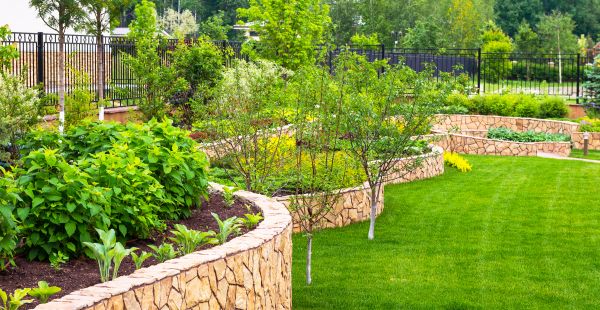 Yard Makeover Service in San Luis Obispo