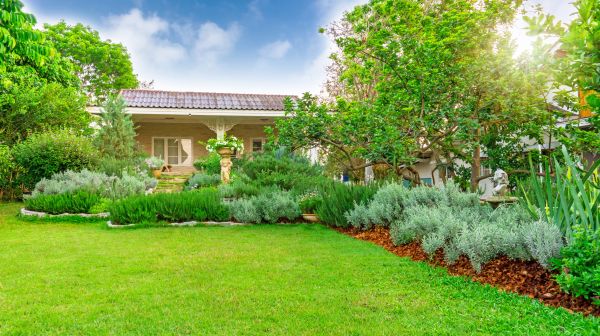 Greenery Planting in San Luis Obispo
