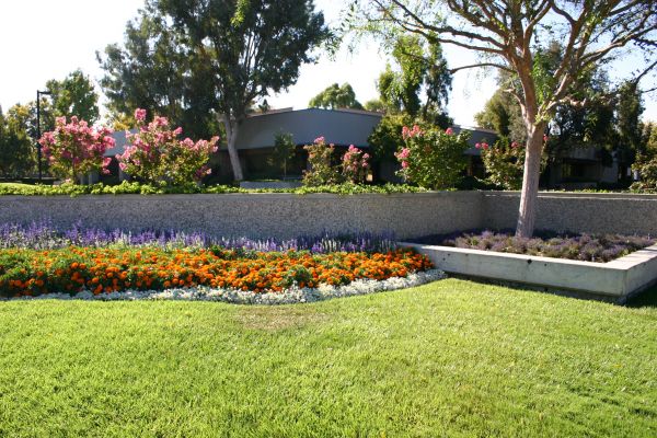 Commercial Landscape Service in San Luis Obispo