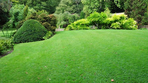 Commercial Landscape Design in San Luis Obispo