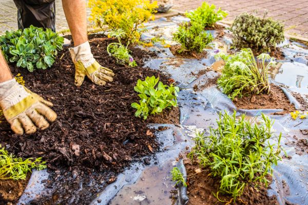 Mulch Fabric Installation in San Luis Obispo