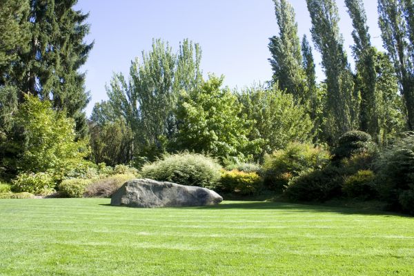 Yard Enlargement in San Luis Obispo