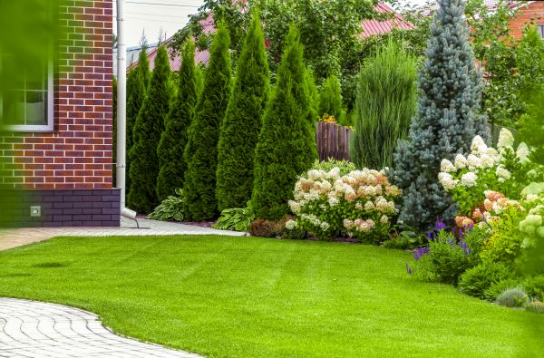 Spring Landscaping in San Luis Obispo