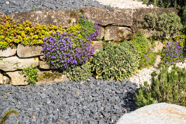 Landscaping Rocks Installation in San Luis Obispo