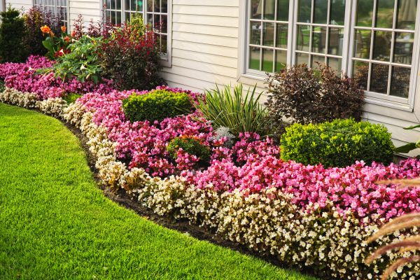 Garden Landscape Design in San Luis Obispo