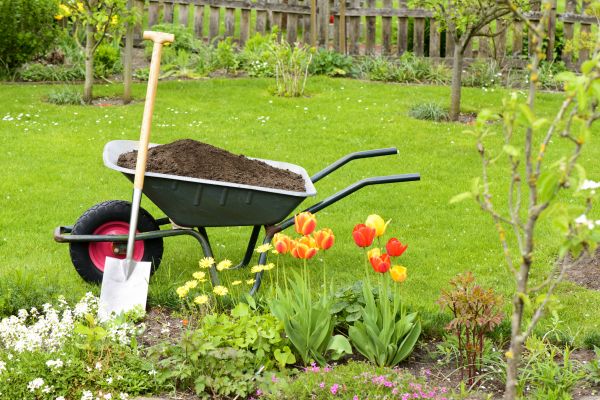 Spring Yard Renovation in San Luis Obispo