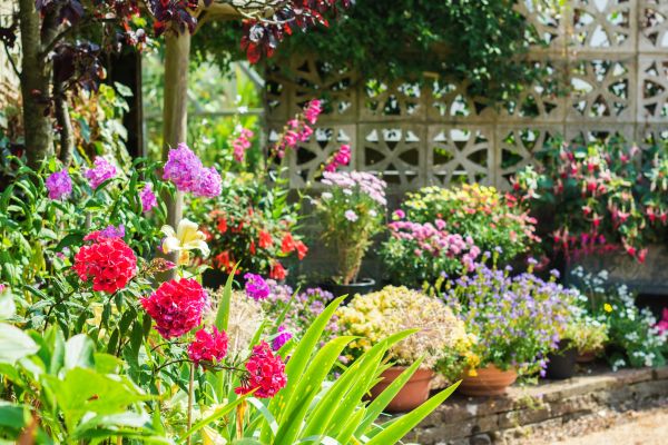 Spring Garden Maintenance in San Luis Obispo